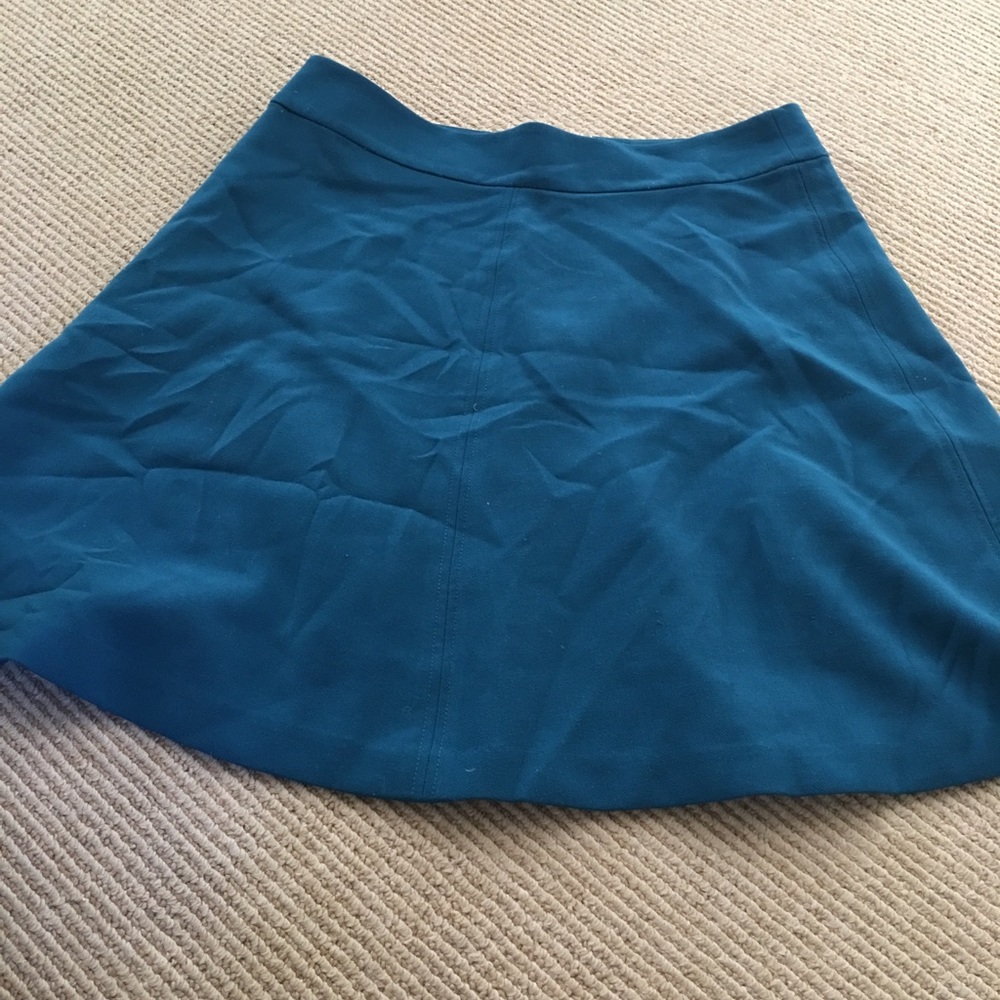 Ann Taylor Loft Skirt!
